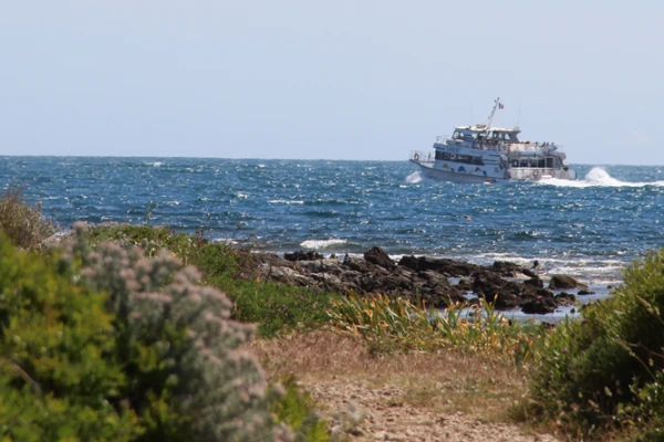 Horizon - Shuttle to Sainte-Marguerite Island - Expérience Côte d'Azur