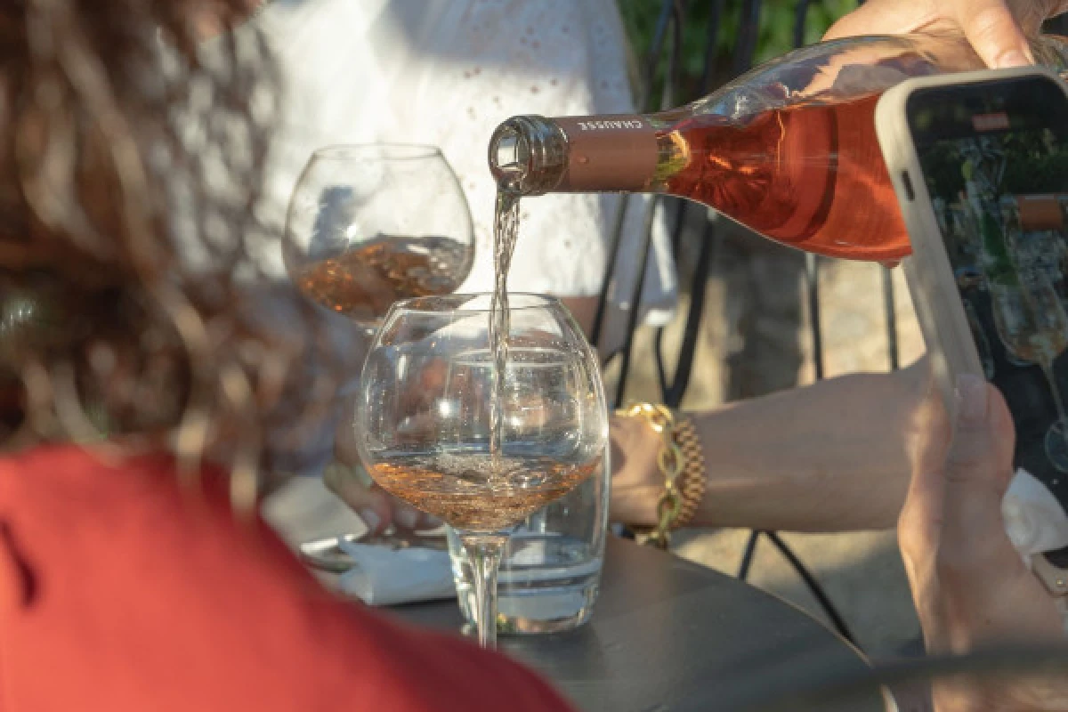 Private wine tasting at home, Gulf of St-Tropez - Expérience Côte d'Azur