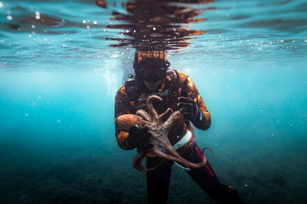 Initiation / Improvement : Underwater fishing - Expérience Côte d'Azur