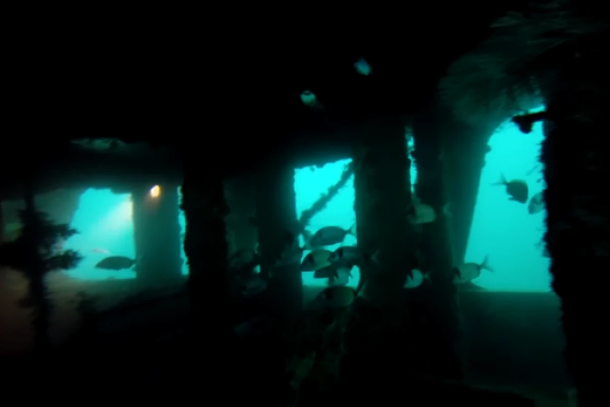 Day Trip - 2 dives - Wreck & Rock - St Tropez - Expérience Côte d'Azur
