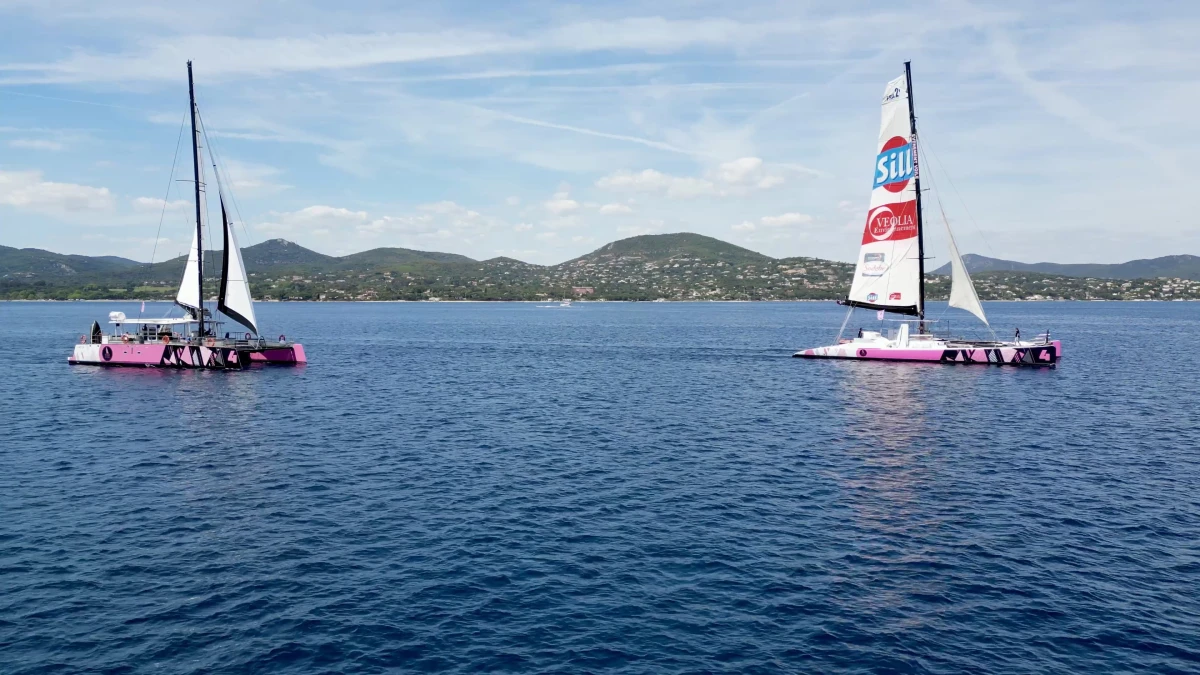 Catamaran day trip from Cogolin to Cap Dramont - PROMO - Expérience Côte d'Azur
