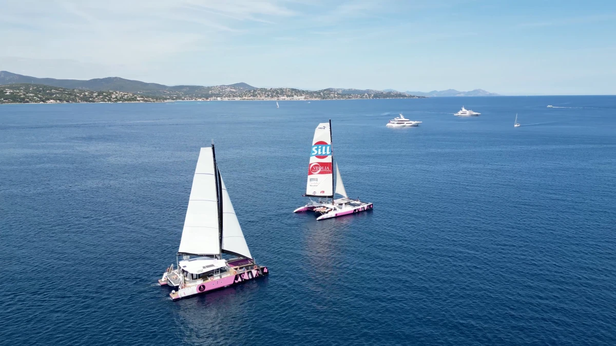 Catamaran day trip from Cogolin to Cap Dramont - PROMO - Expérience Côte d'Azur