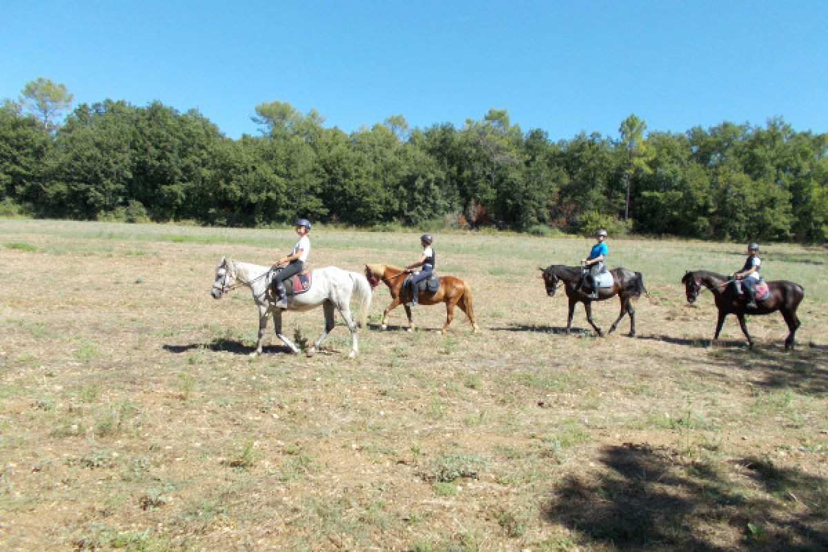 Relaxing outing day on horse or pony - Expérience Côte d'Azur