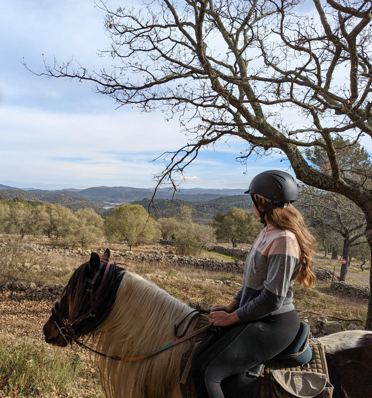 Relaxing Day on Horse or Pony by the Lake - Expérience Côte d'Azur