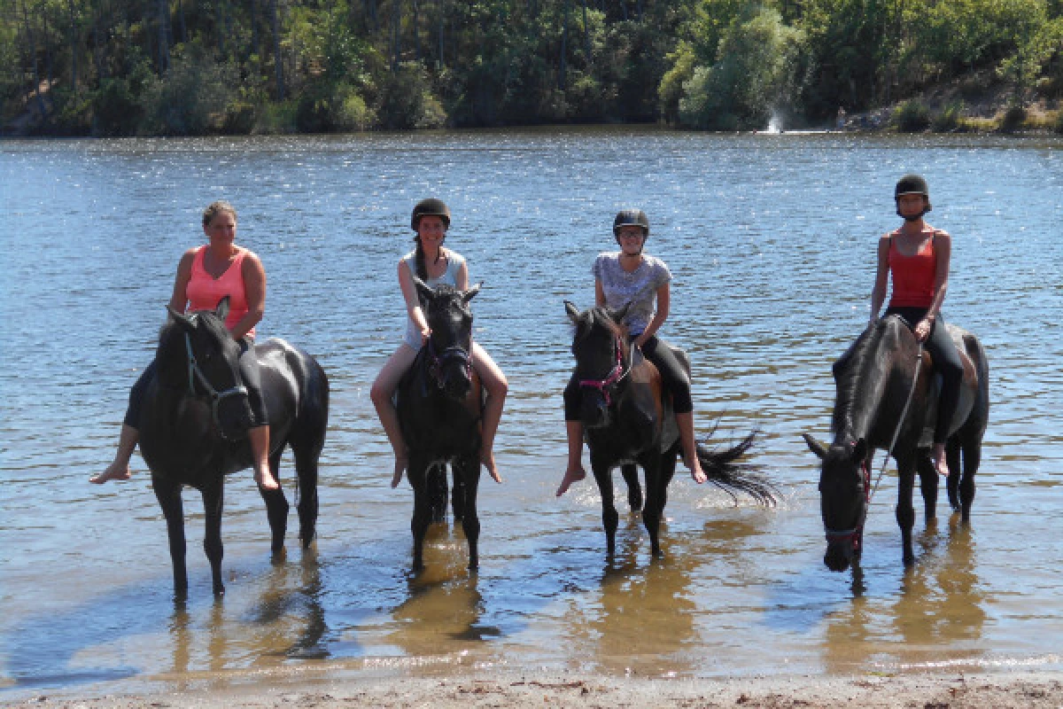 Relaxing outing day on horse or pony - Expérience Côte d'Azur