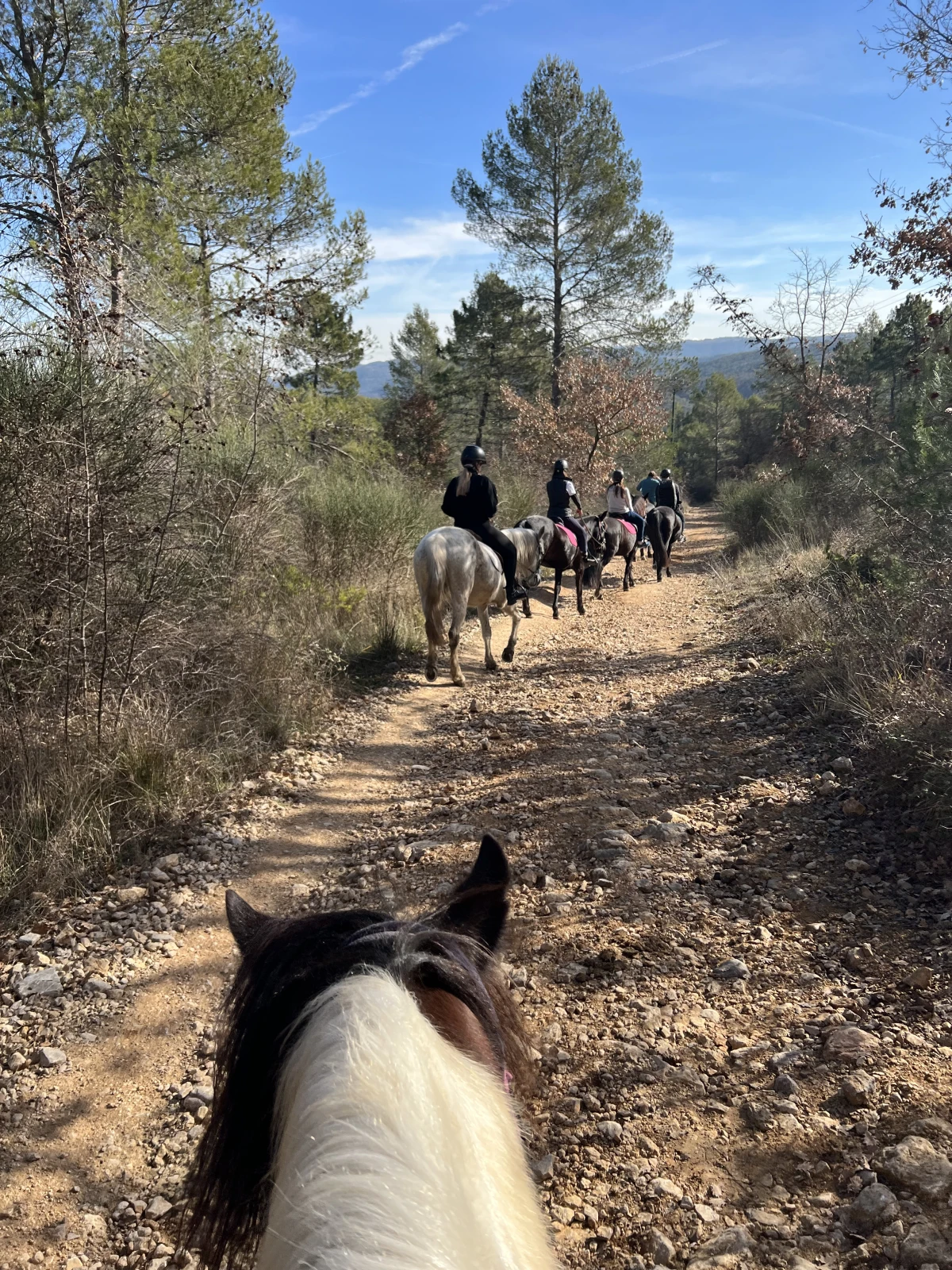 Relaxing Day on Horse or Pony by the Lake - Expérience Côte d'Azur