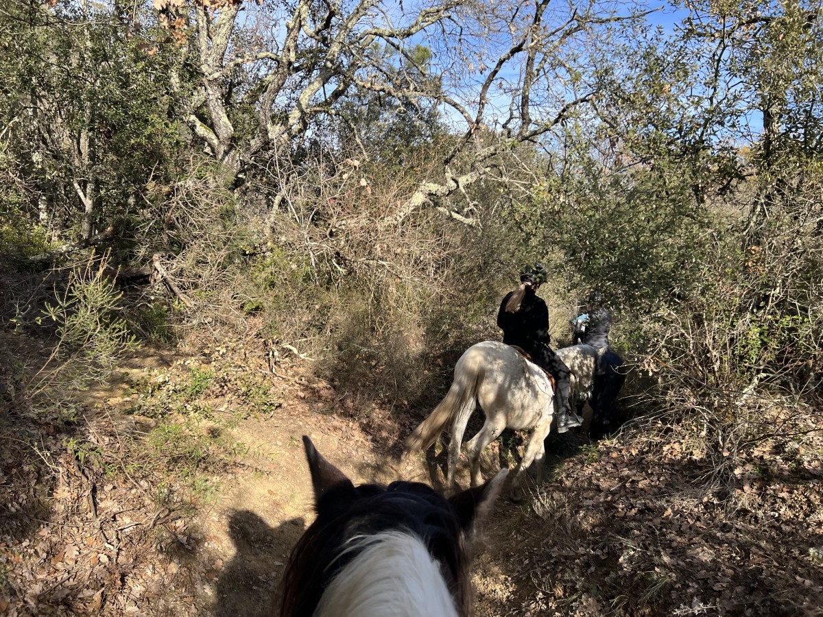 Relaxing Day on Horse or Pony by the Lake - Expérience Côte d'Azur
