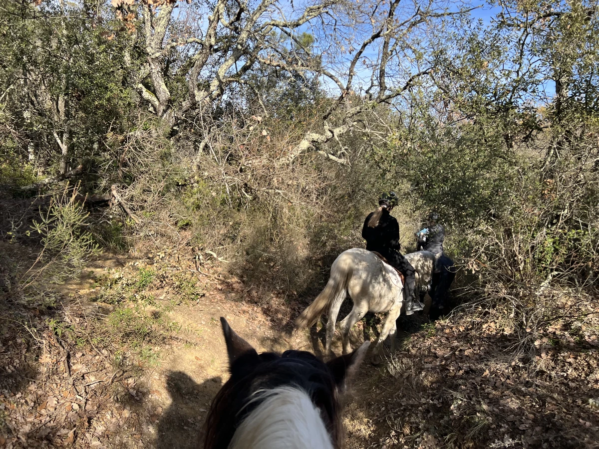 Relaxing Day on Horse or Pony by the Lake - Expérience Côte d'Azur