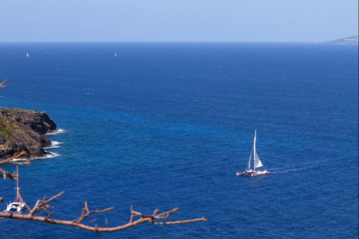 A day trip on a catamaran to Cap Taillat from Pampelonne - Expérience Côte d'Azur