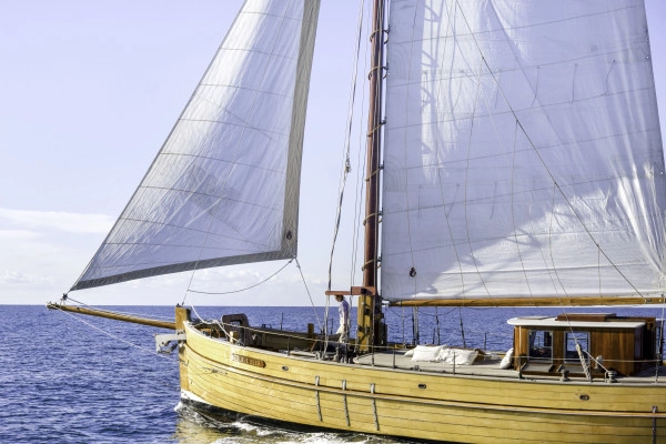Sailing day to the Calanques - Quay of Honor Town Hall - Expérience Côte d'Azur