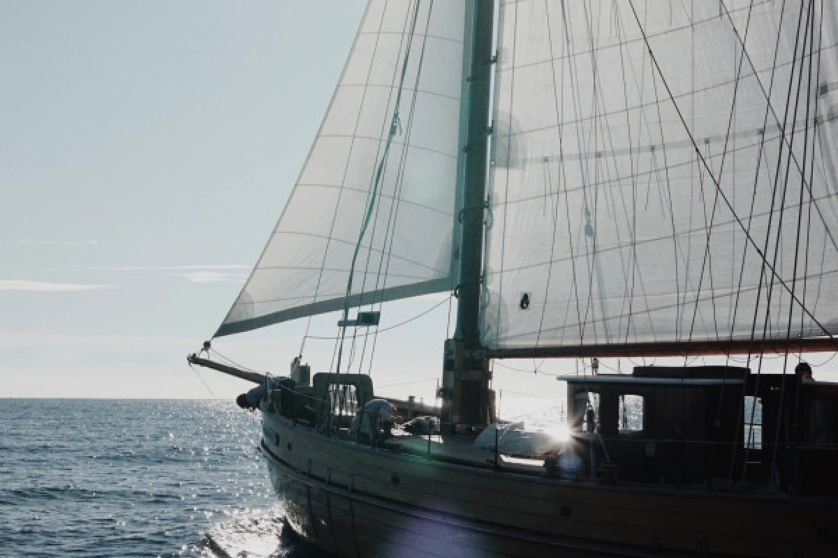 Sailing day to the Calanques - Quay of Honor Town Hall - Expérience Côte d'Azur