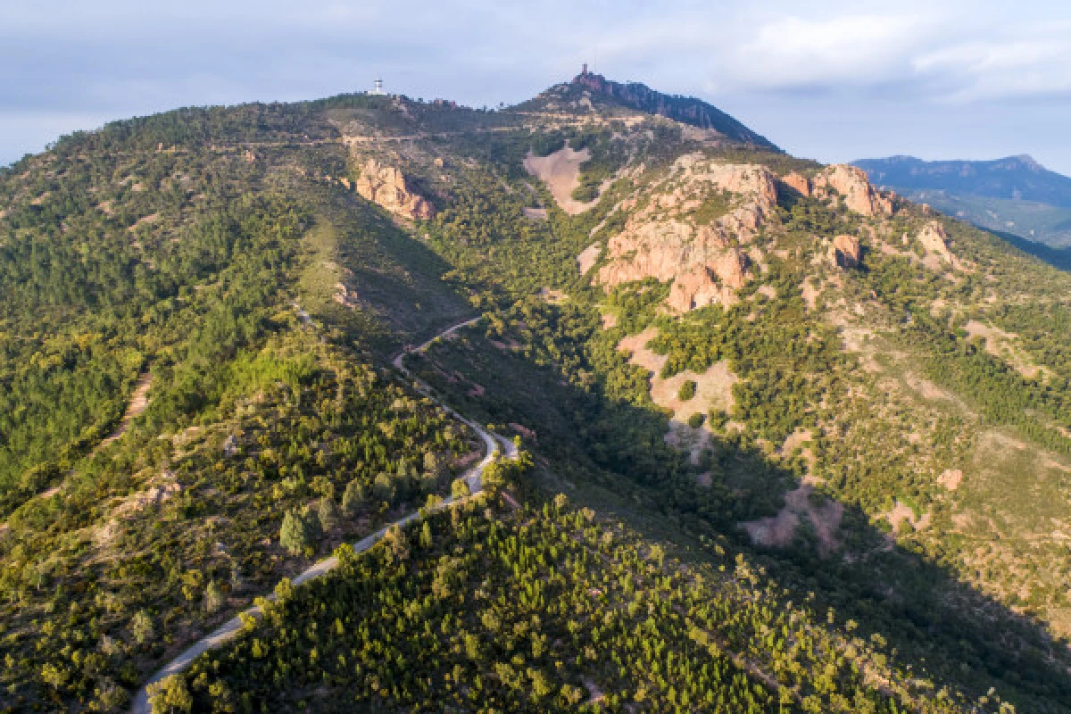 Electrically assisted mountain bike tour - Special groups - Expérience Côte d'Azur