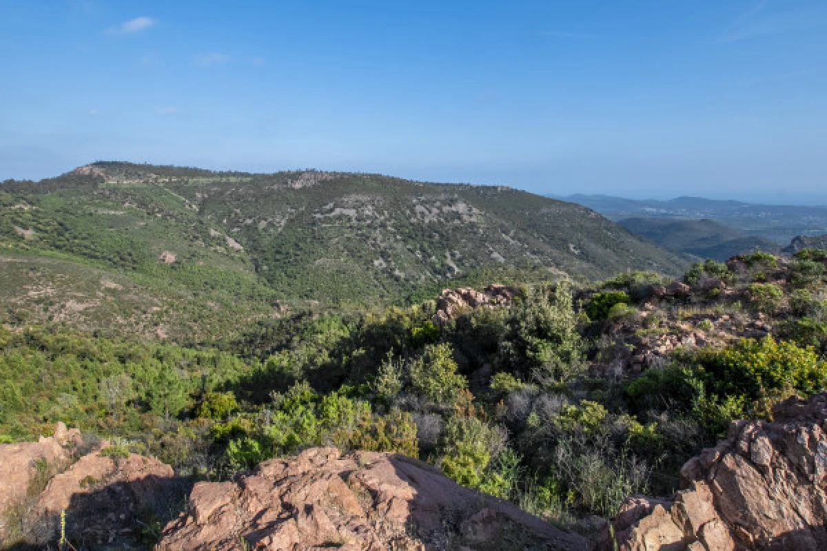 Electrically assisted mountain bike tour - Special groups - Expérience Côte d'Azur