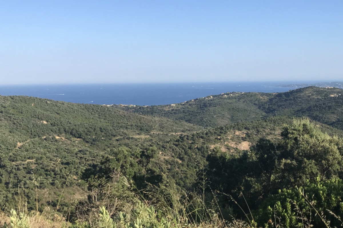 Electrically assisted mountain bike tour - Special groups - Expérience Côte d'Azur