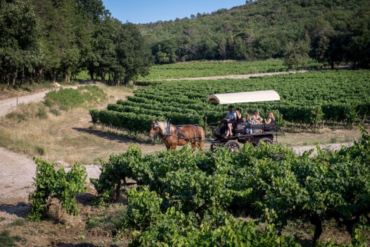 The carriage ride - Expérience Côte d'Azur