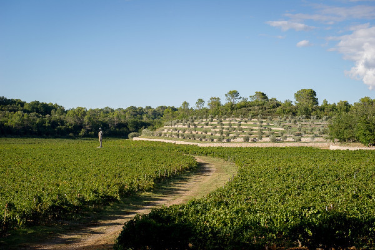 Jardins commanderie de Peyrassol