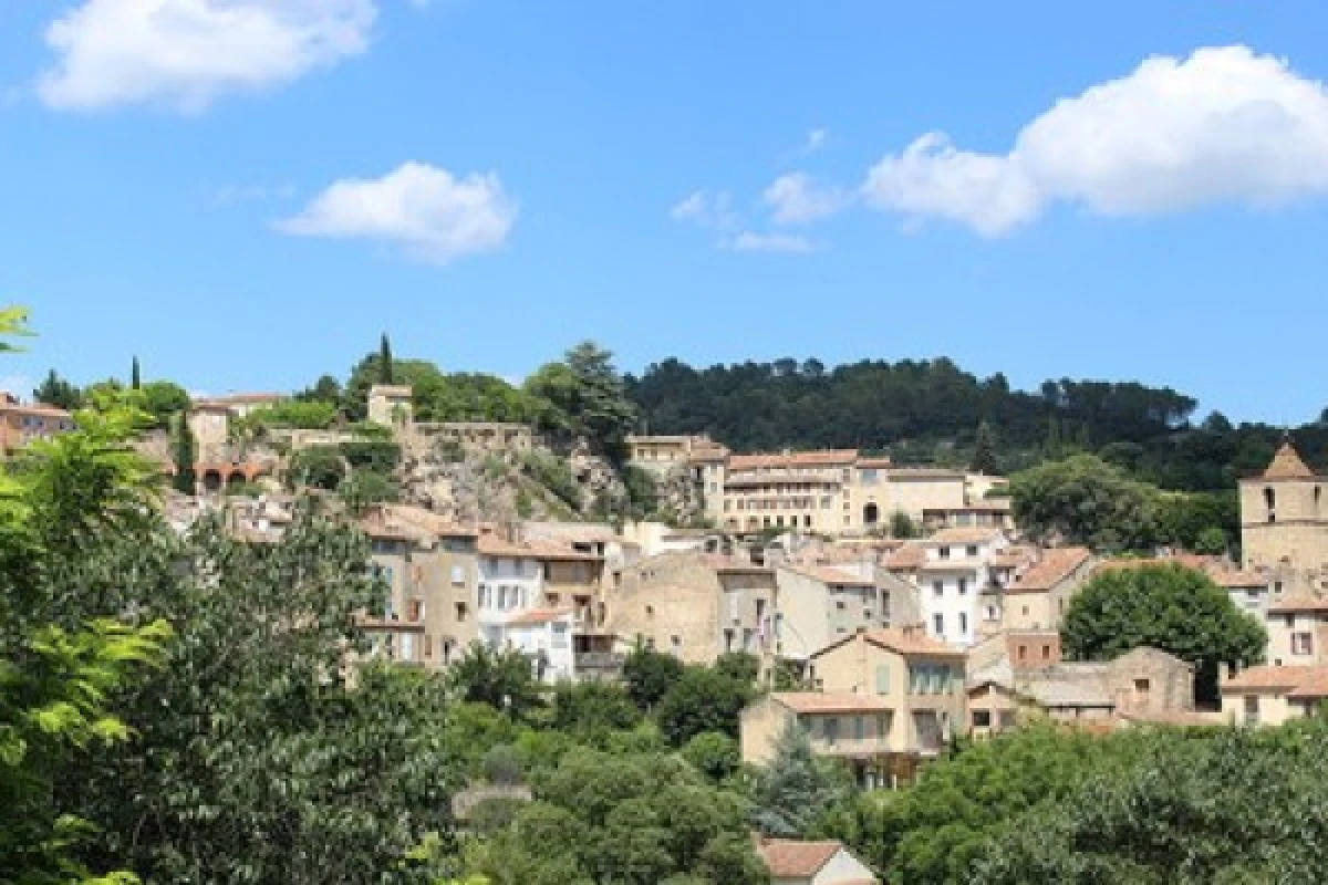 Green Provence - Expérience Côte d'Azur