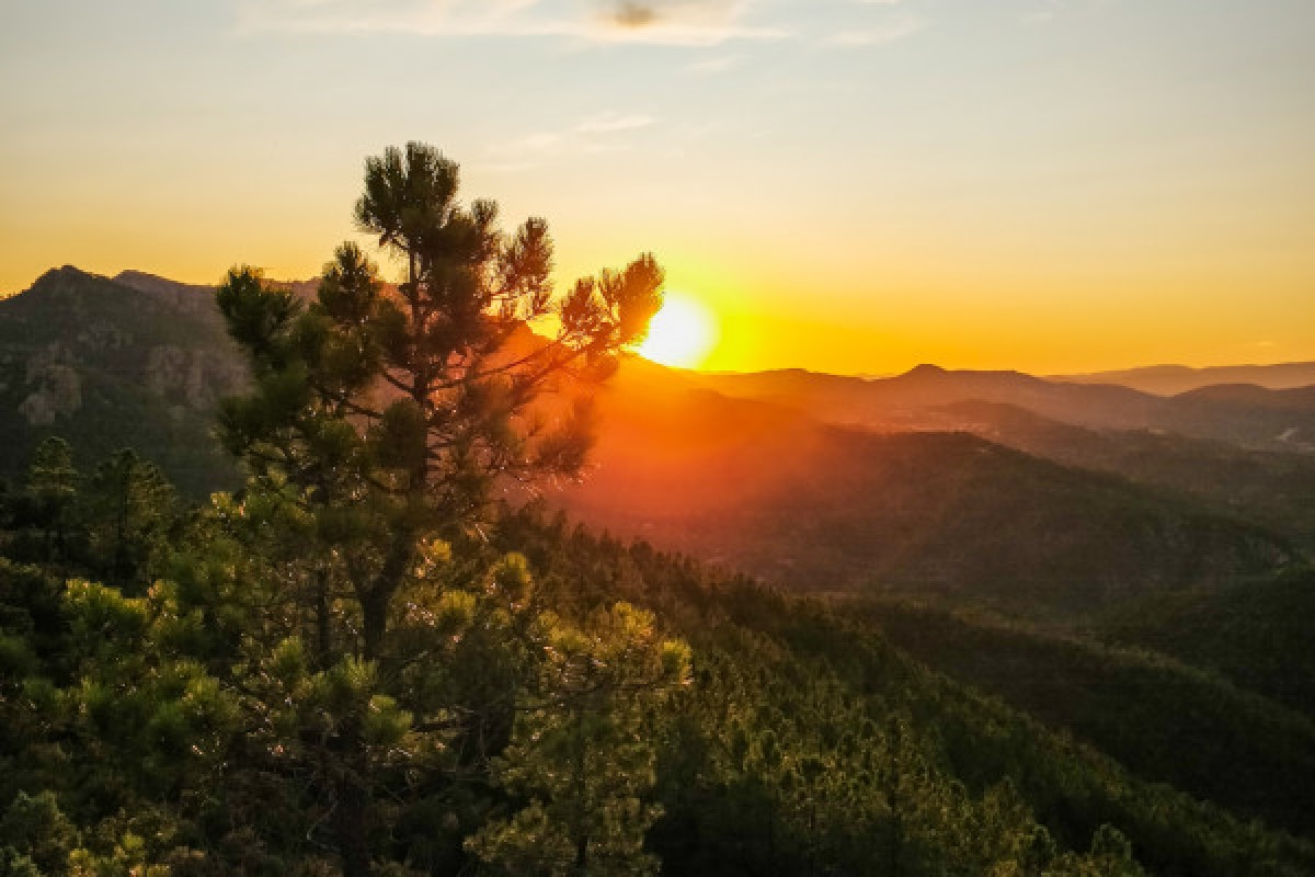 The Aperitif Hike - Mandelieu La napoule - Expérience Côte d'Azur