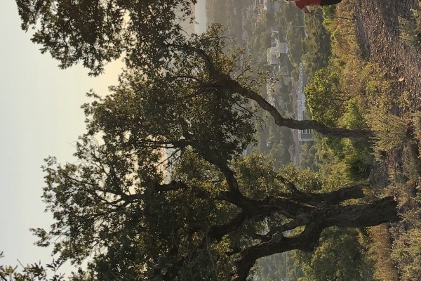 Nordic walking differently - Expérience Côte d'Azur