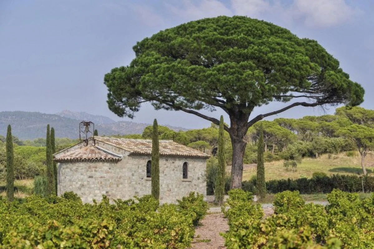 Le Clos des Roses - Guided tour and wine tasting - Expérience Côte d'Azur