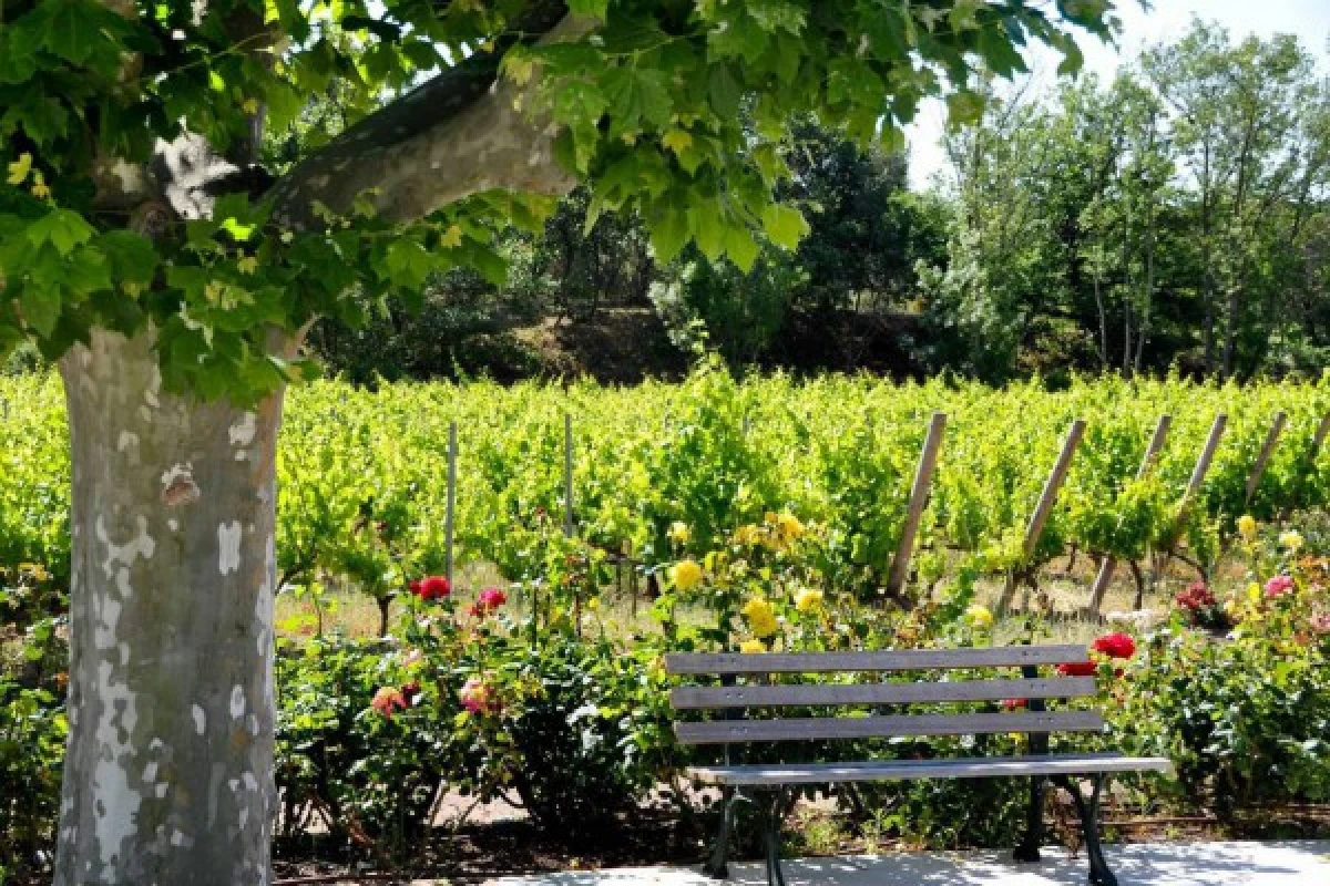 Le Clos des Roses - Guided tour and wine tasting - Expérience Côte d'Azur