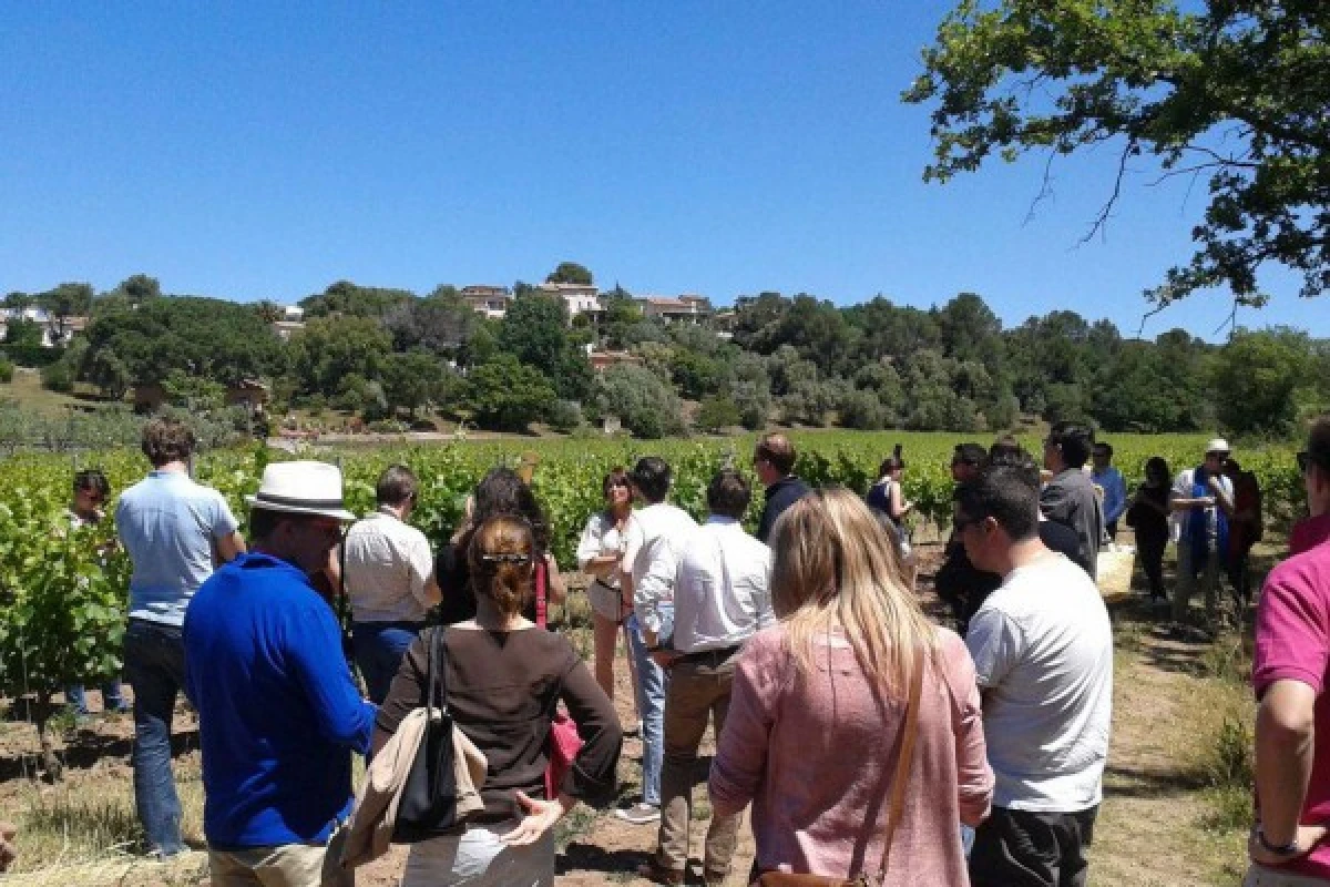 Le Clos des Roses - Guided tour and wine tasting - Expérience Côte d'Azur