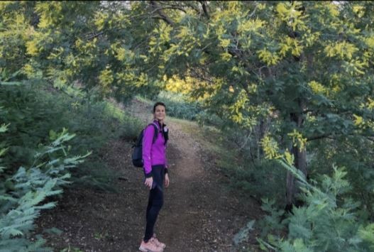 The mimosa at the heart of the Petites Maures - Expérience Côte d'Azur