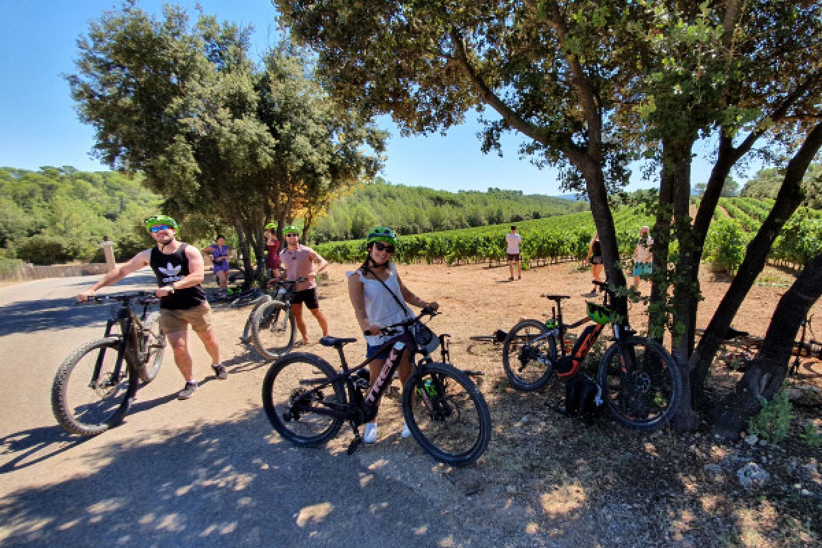 Vineyards by Bike - Full Day Private Tour - Expérience Côte d'Azur