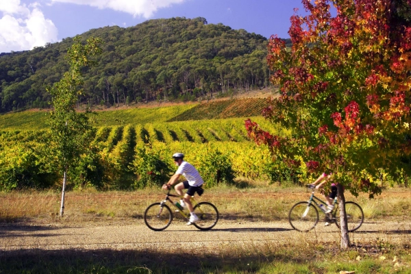 Provence Vineyards by Bike - Private Tour - Expérience Côte d'Azur