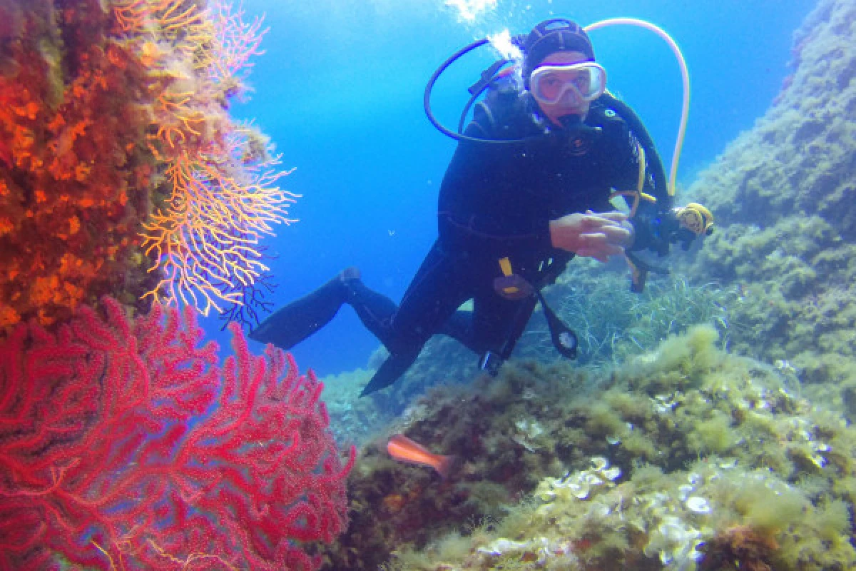 Exploration scuba diving - Les Issambres - Expérience Côte d'Azur