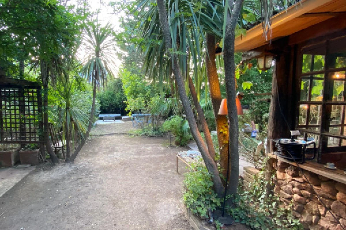 Tasting Rosé and food at our country Cabanon - Private Group - Expérience Côte d'Azur