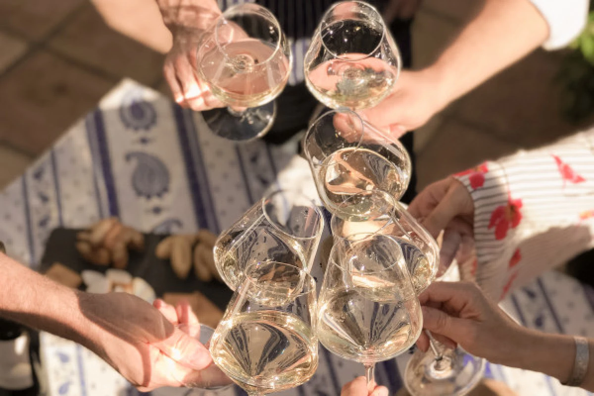 Tasting Rosé and food at our country Cabanon - Private Group - Expérience Côte d'Azur