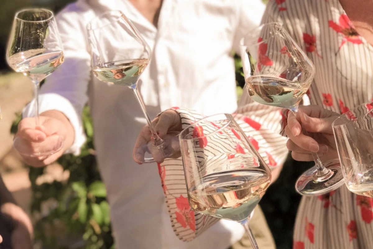 Tasting Rosé and food at our country Cabanon - Expérience Côte d'Azur