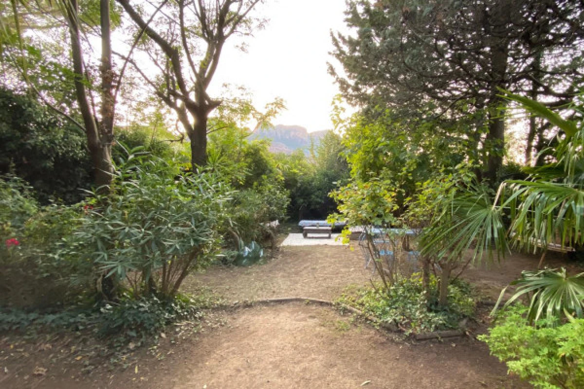 Tasting Rosé and food at our country Cabanon - Expérience Côte d'Azur