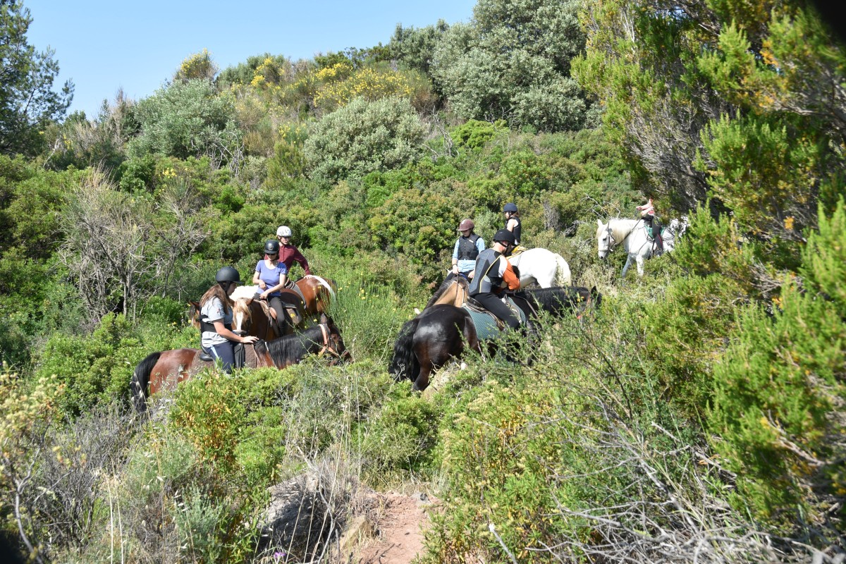 Les Ferrières: Horseback riding for medium riders - Expérience Côte d'Azur