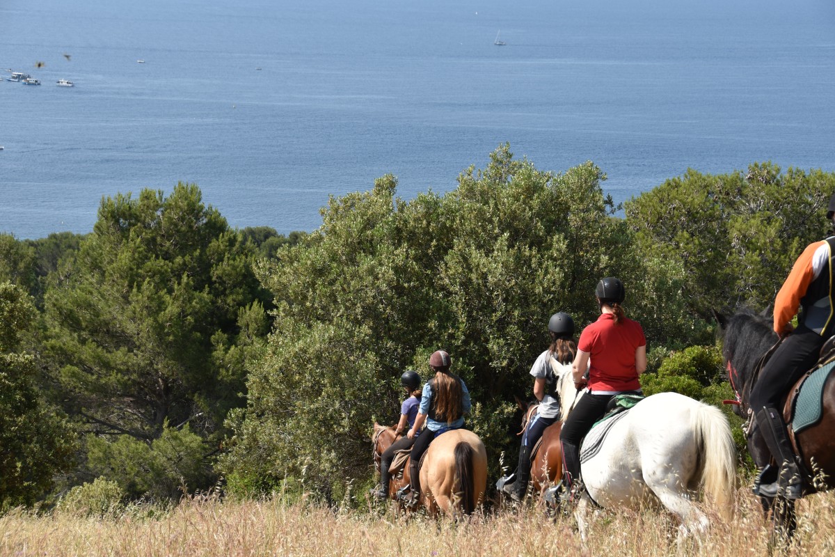 Les Ferrières: Horseback riding for medium riders - Expérience Côte d'Azur