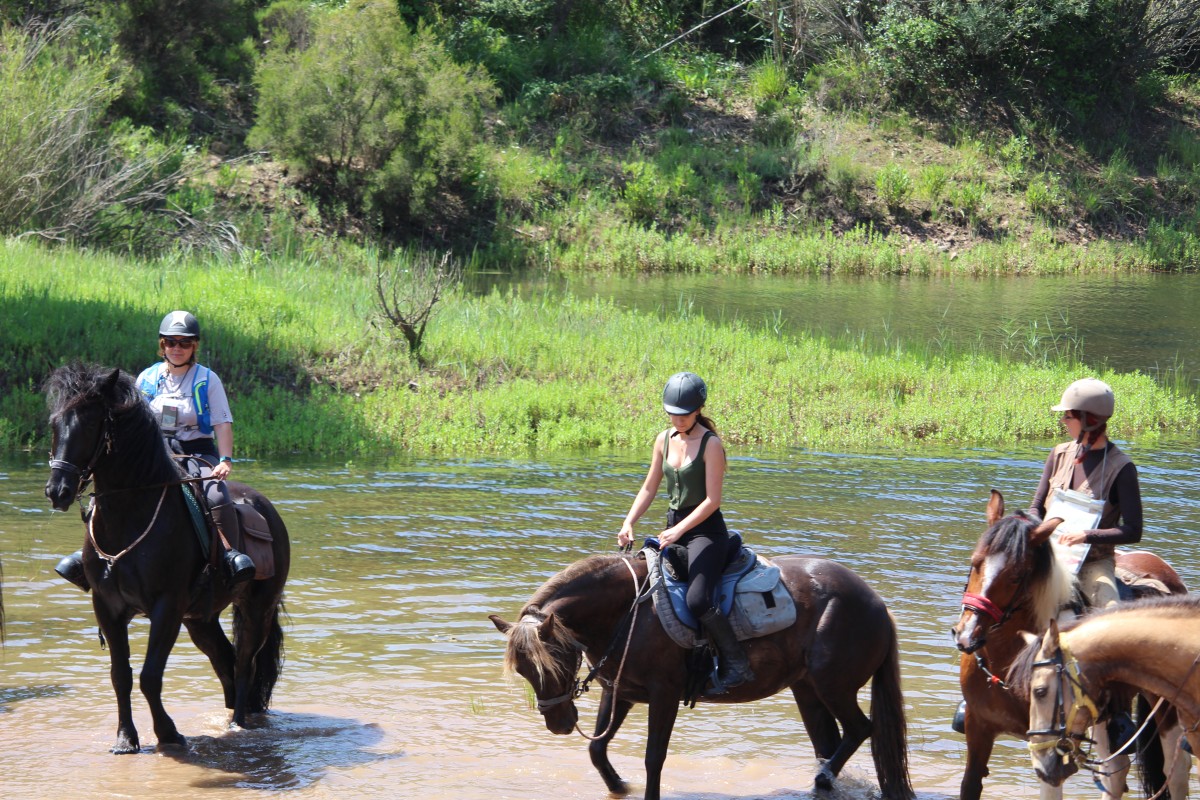 Les Ferrières: Horseback riding for medium riders - Expérience Côte d'Azur