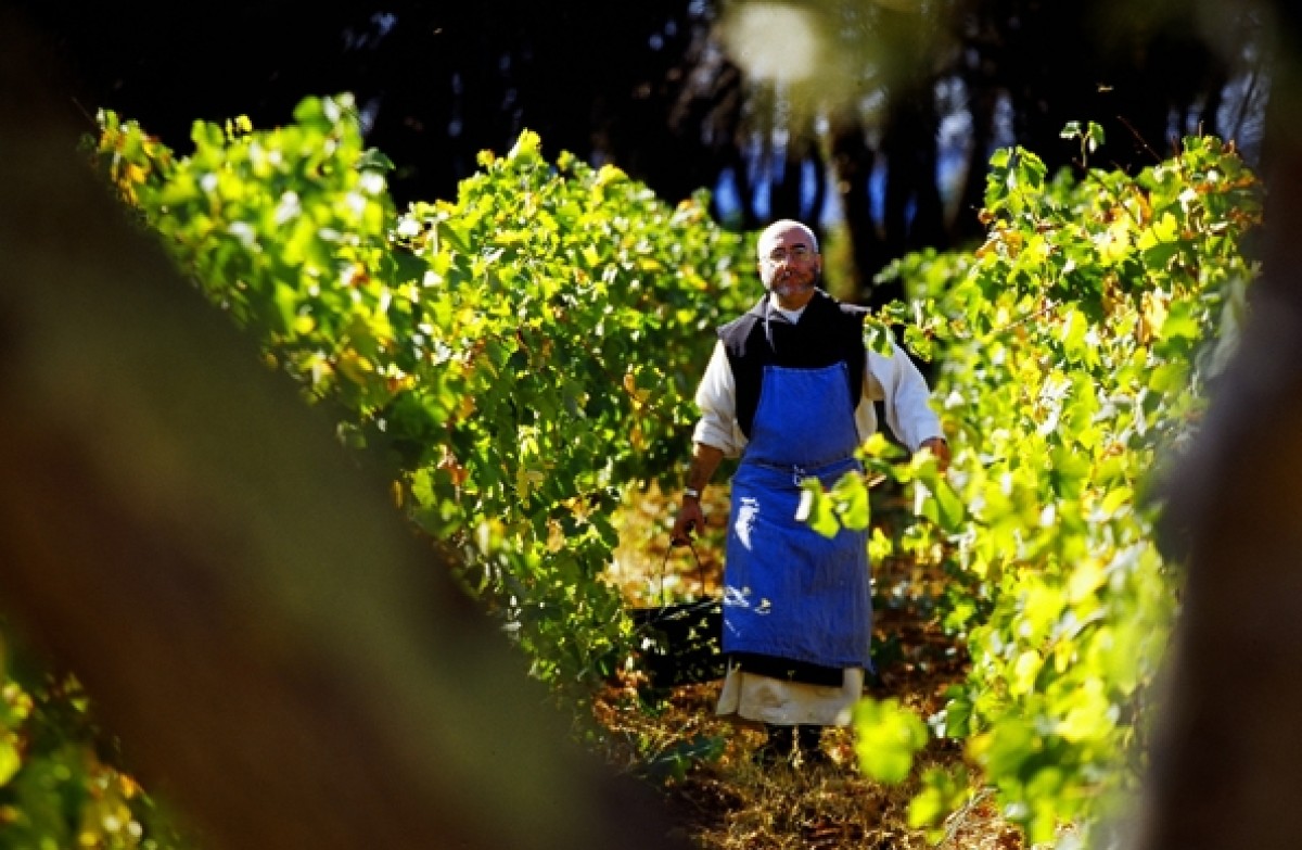 Boat trip to the Lérins Islands - Expérience Côte d'Azur