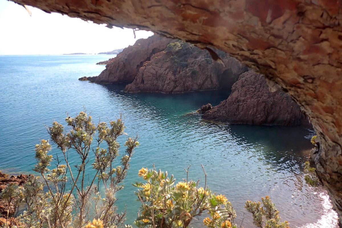 Esterel's Aquatic treasures - Expérience Côte d'Azur