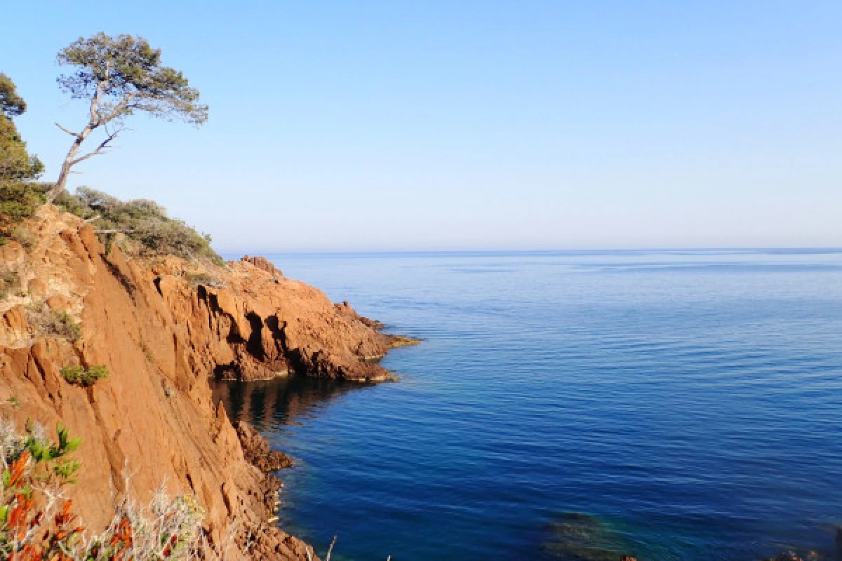 Esterel's Aquatic treasures - Expérience Côte d'Azur