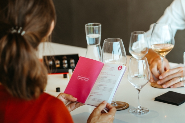 The Wines of Provence in Red, White & Rosé - Expérience Côte d'Azur