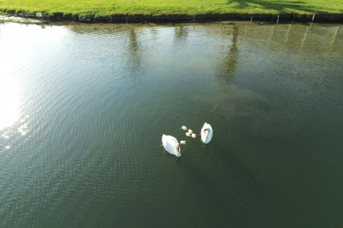 License-free boat rental on the Siagne river - Expérience Côte d'Azur