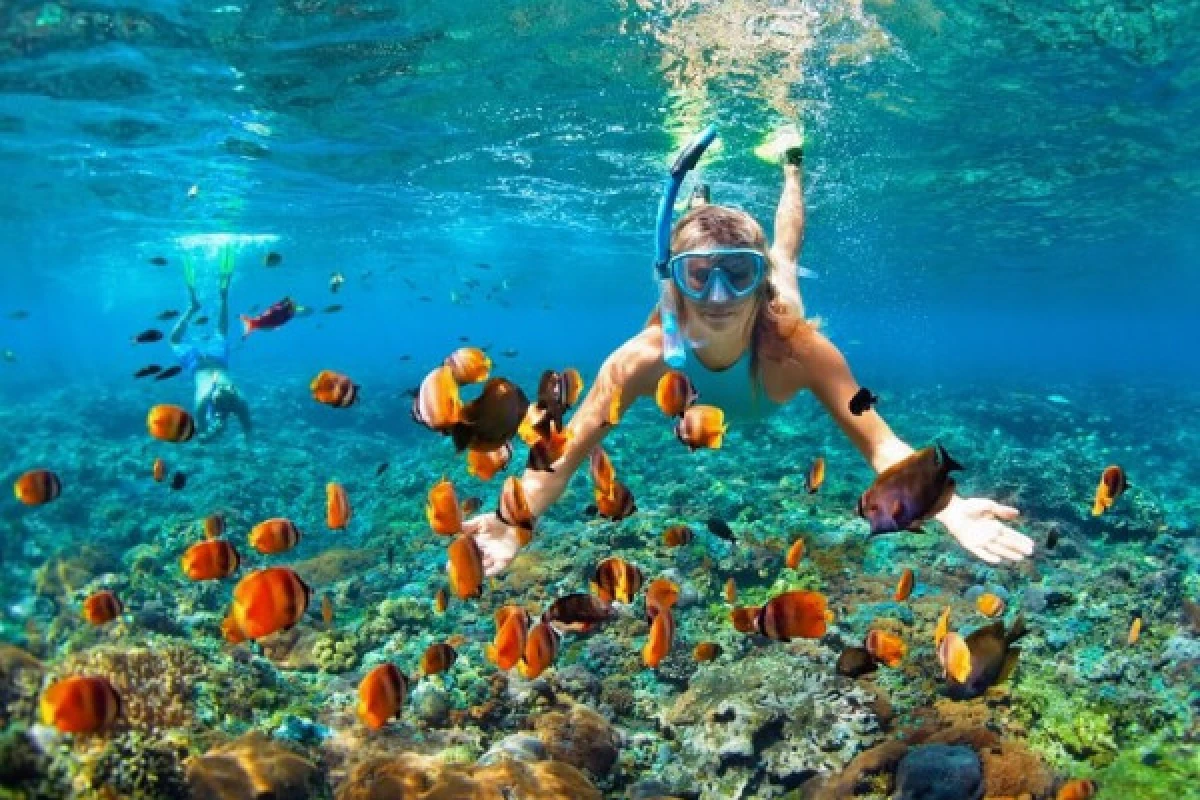 Snorkeling - Expérience Côte d'Azur