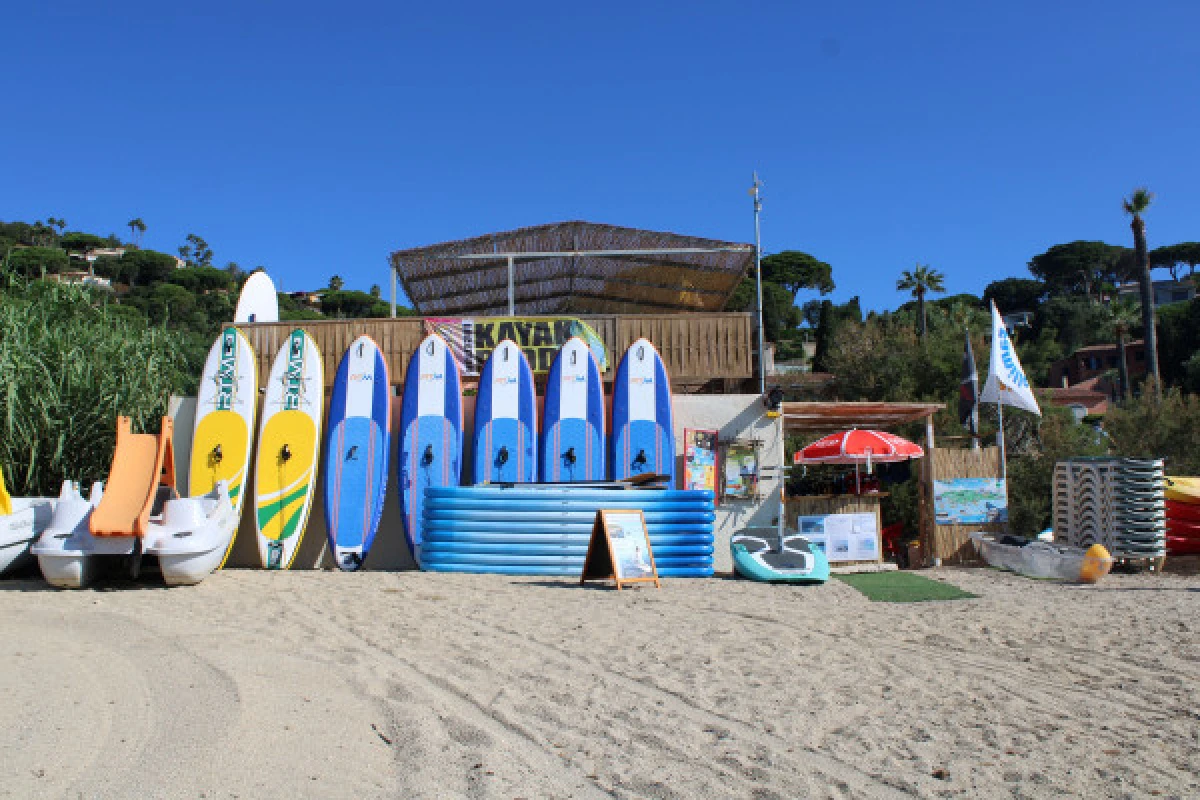 Stand Up Paddle rental with transparent window - Expérience Côte d'Azur