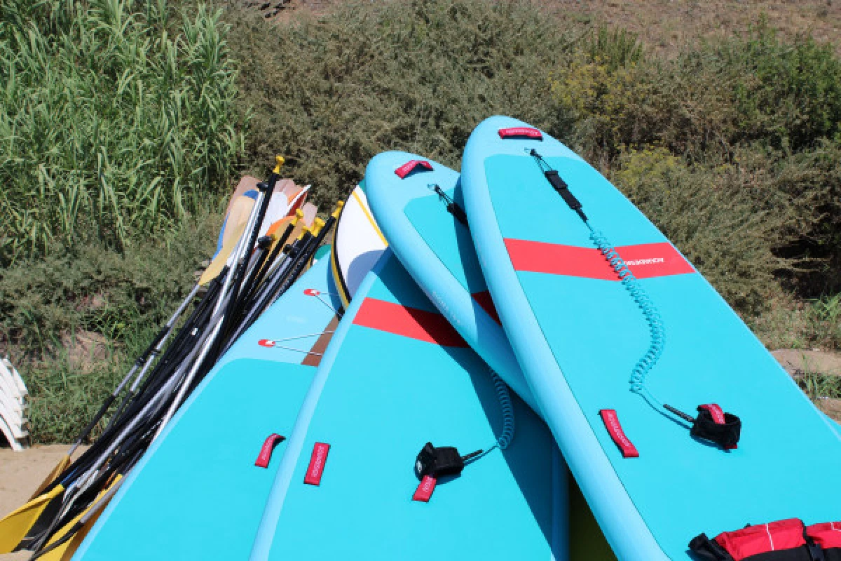 Stand Up Paddle rental - Expérience Côte d'Azur