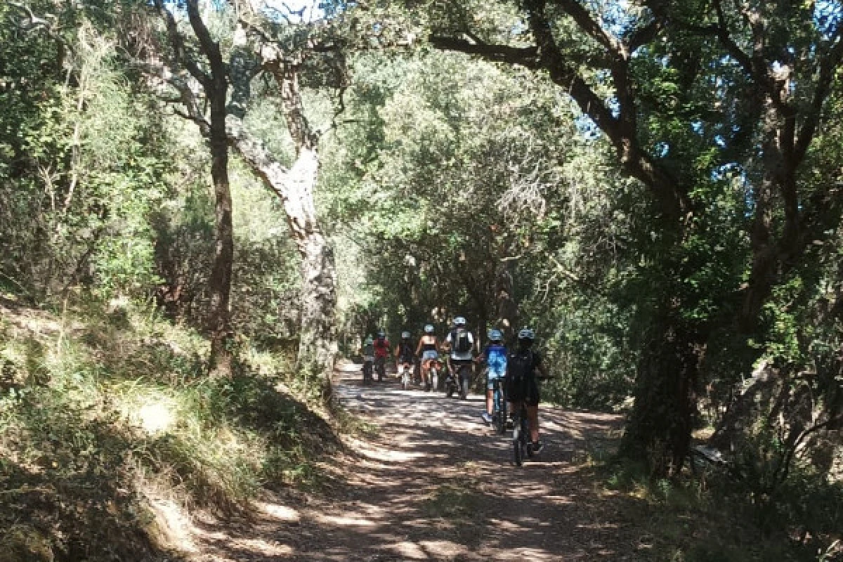 Electric mountain bike hire - in the heart of l'Estérel - Expérience Côte d'Azur