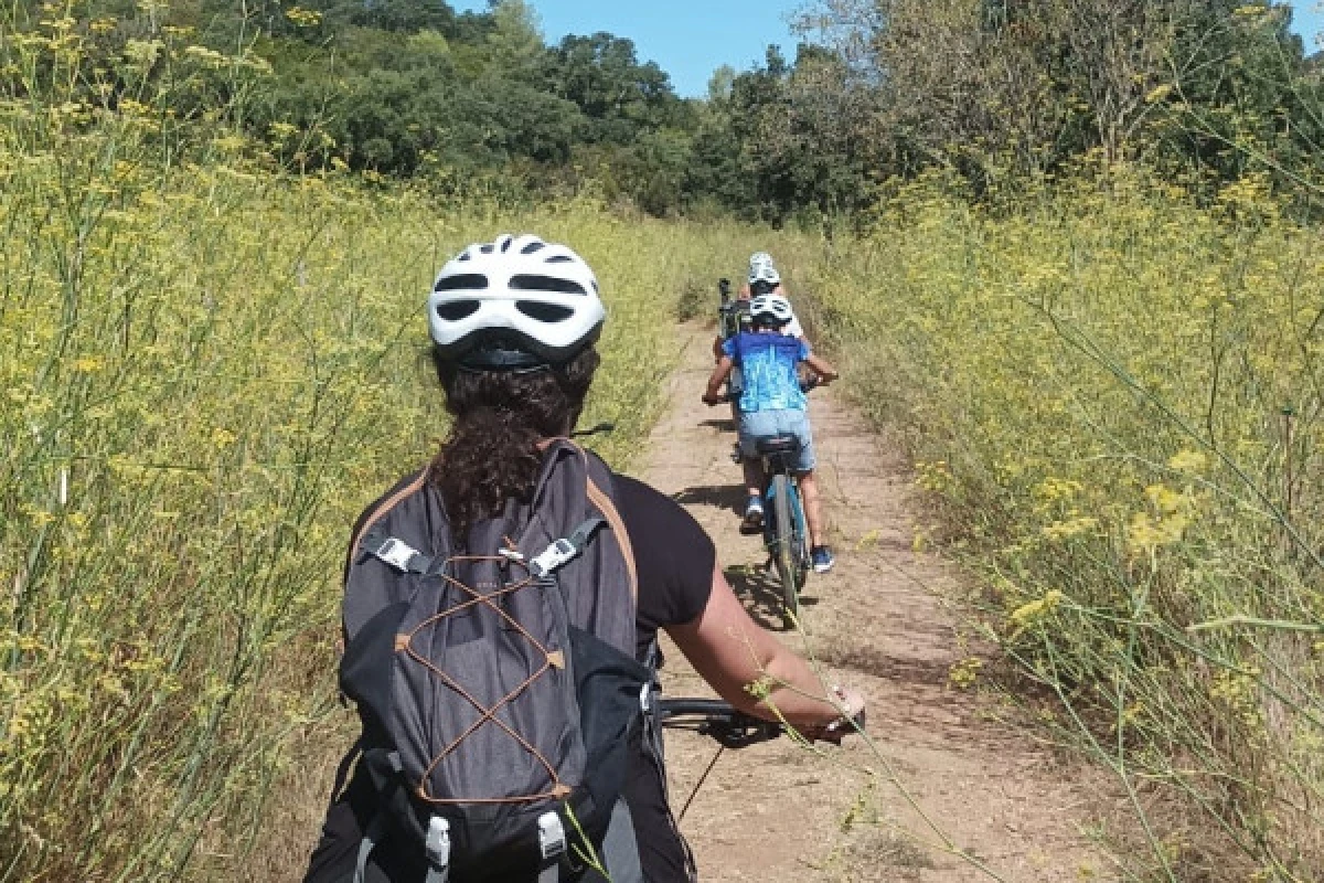 Electric mountain bike hire - in the heart of l'Estérel - Expérience Côte d'Azur