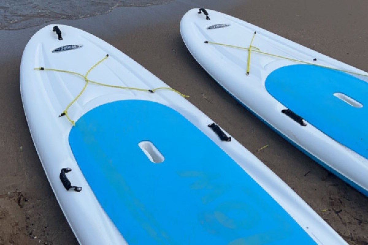 Paddle rental - Expérience Côte d'Azur