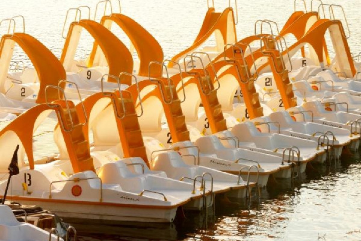Pedal boat rental - Lake St-Cassien - Expérience Côte d'Azur