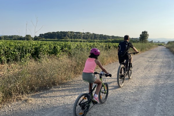 Bike rental (VTTAE) + wine tasting - Expérience Côte d'Azur
